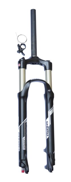 FURCA TELESCOPICA  29'' - SR SUNTOUR RAIDON XC DS-RL-R-100MM-AHEAD 1.1/8''