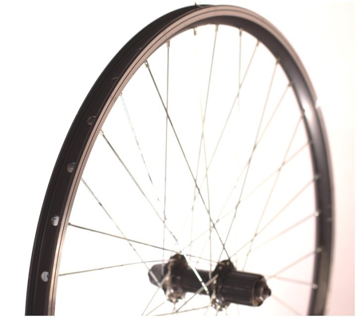 ROATA SPATE 26