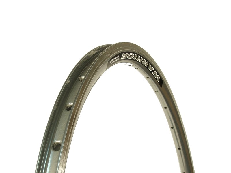 JANTA DUBLA - 28''/29''/622x25/20x29, 36H, argintiu, WARRIOR