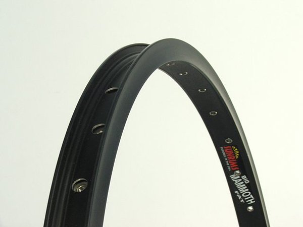 JANTA DUBLA - 20''/406x29.6/23.5, 48H - Pinned - SUN RINGLE MAMMOTH