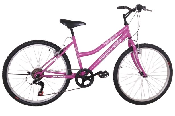BICICLETA COPII NEUZER CINDY BASIC REVO - 24'' - 6s.- Mov/Alb 2